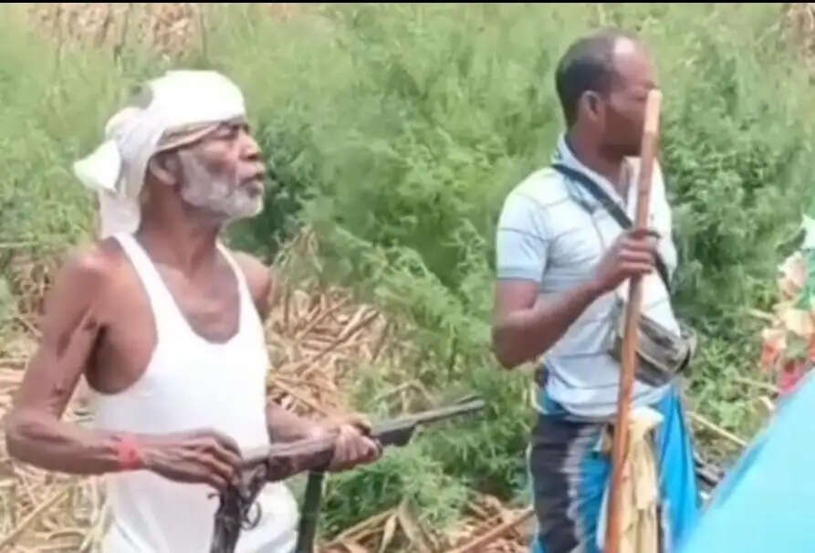 कारगिल दियारा में खौफ का साया, वायरल वीडियो ने किसानों की सुरक्षा पर खड़े किए सवाल