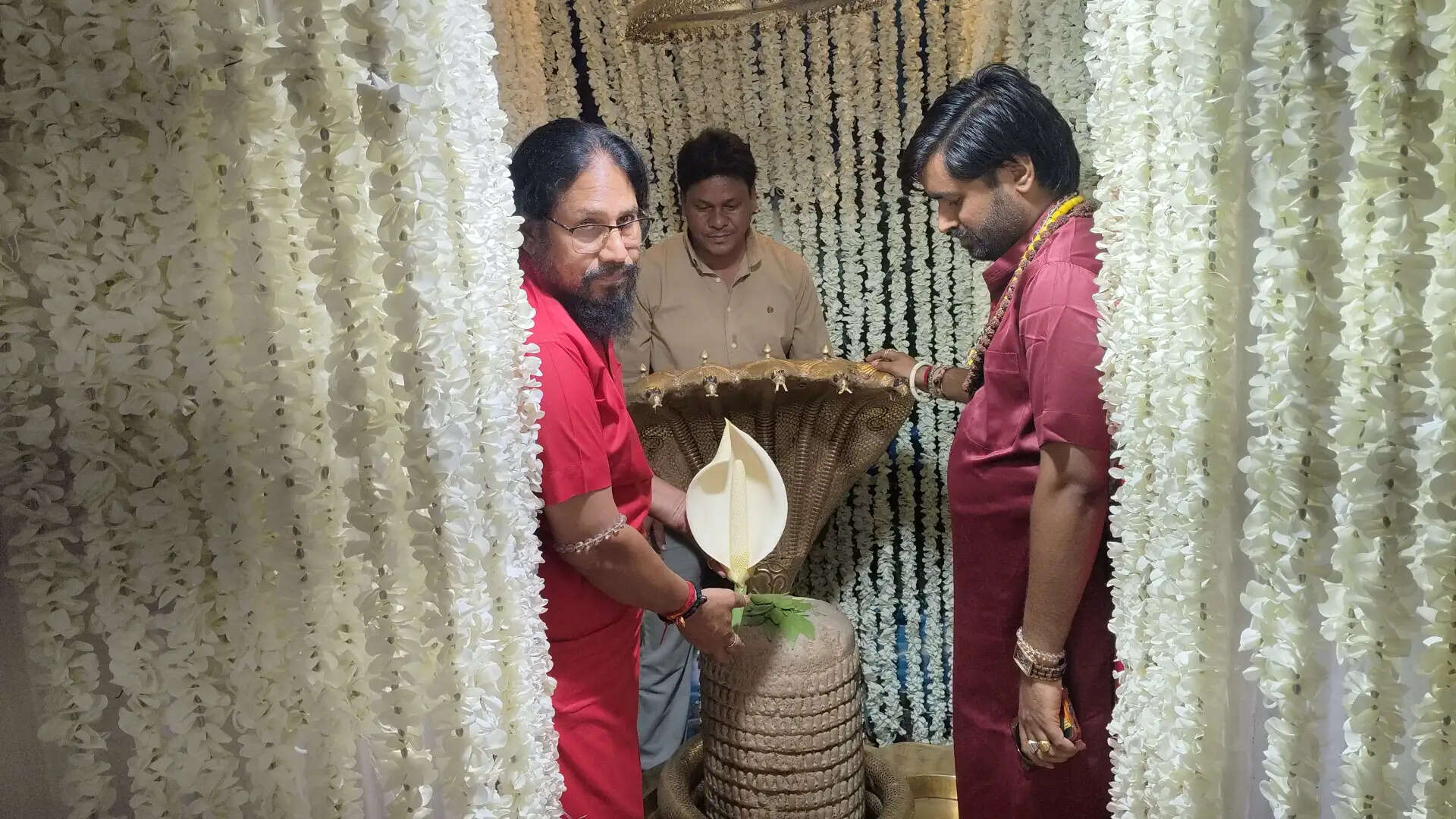 10 साल में एक बार खिलने वाला दुर्लभ शंख पुष्प का पुष्प सावन सोमवार पर महादेव को अर्पित