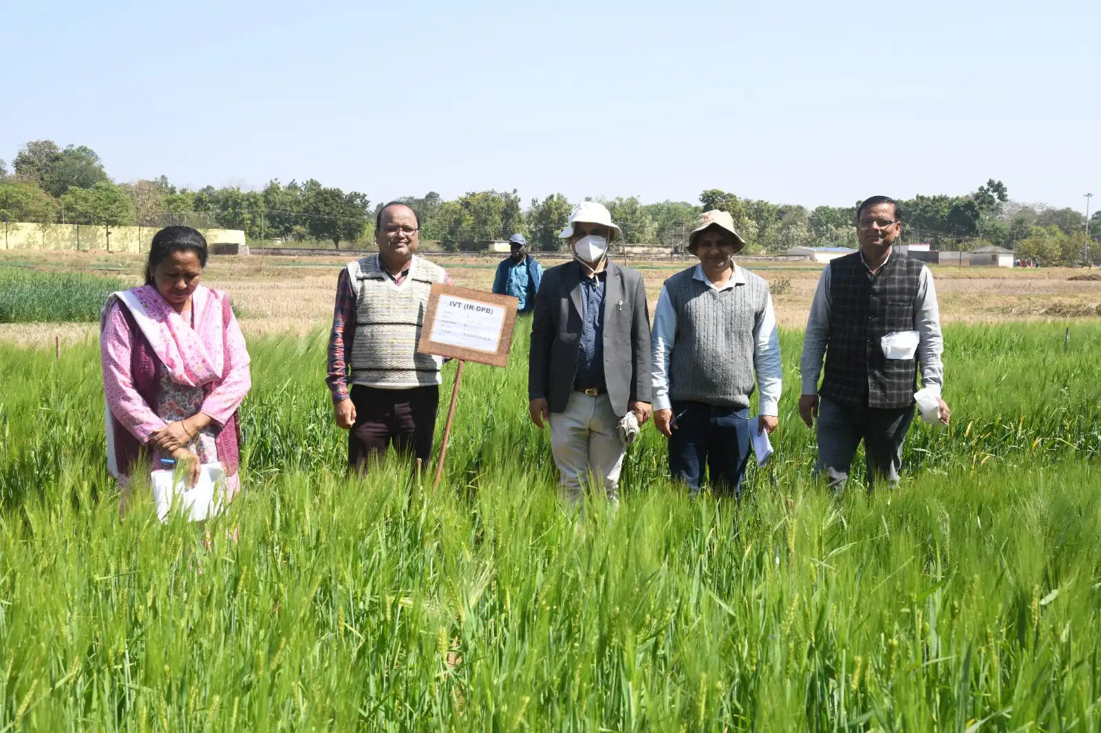 मॉनिटरिंग टीम ने की बीएयू में गेहूं और जौ के अनुसंधान कार्यों की सराहना
