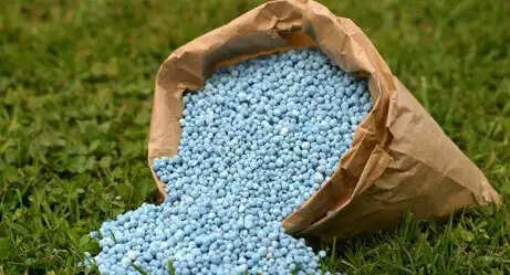 (कैबिनेट) खरीफ फसलों के लिए 'पीएंडके' उर्वरकों पर पोषक तत्व आधारित सब्सिडी को मंजूरी