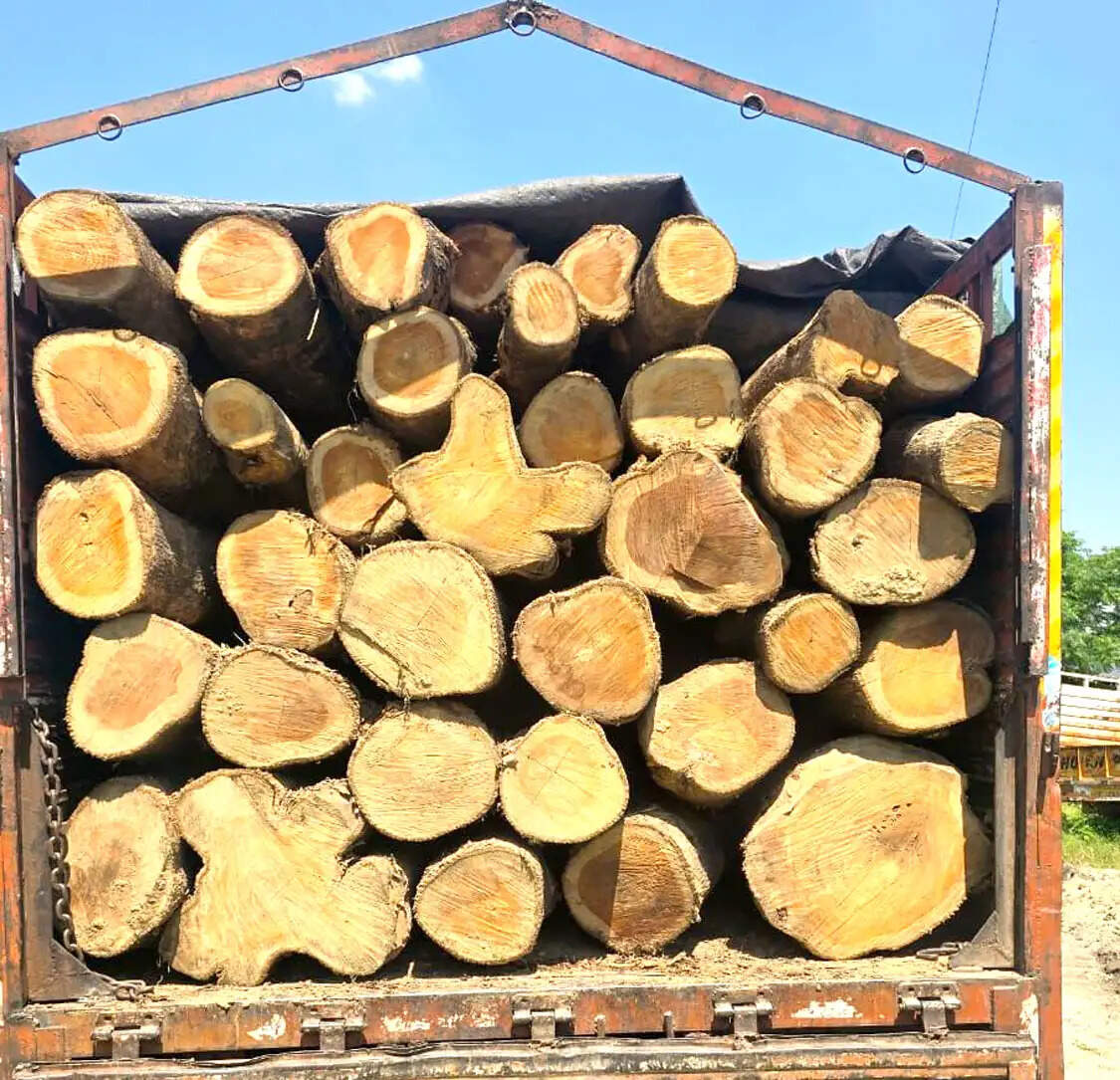 अवैध सागौन लकड़ी के साथ ट्रक पकड़ा, दो गिरफ्तार