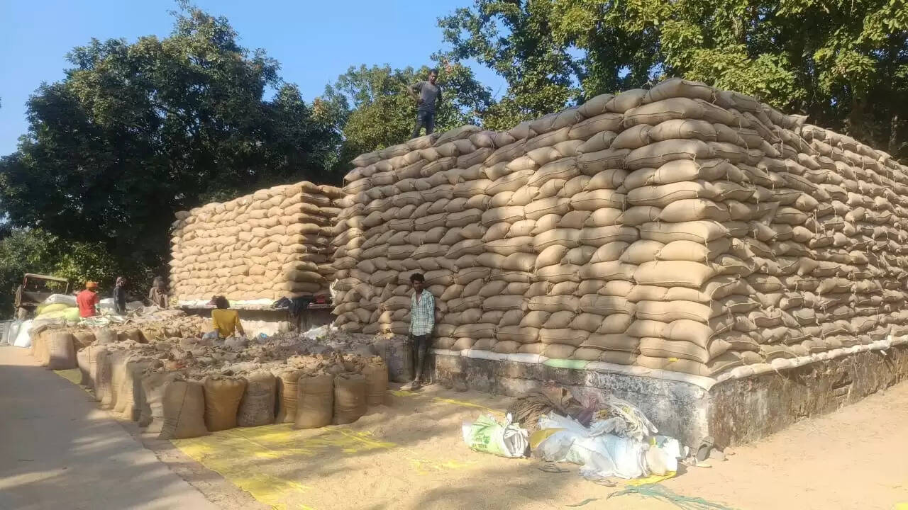 रिसाइक्लिंग रोकने मार्कफेड ने धान उठाव पर लगाई रोक, कोरबा में 151 करोड़ का धान जाम