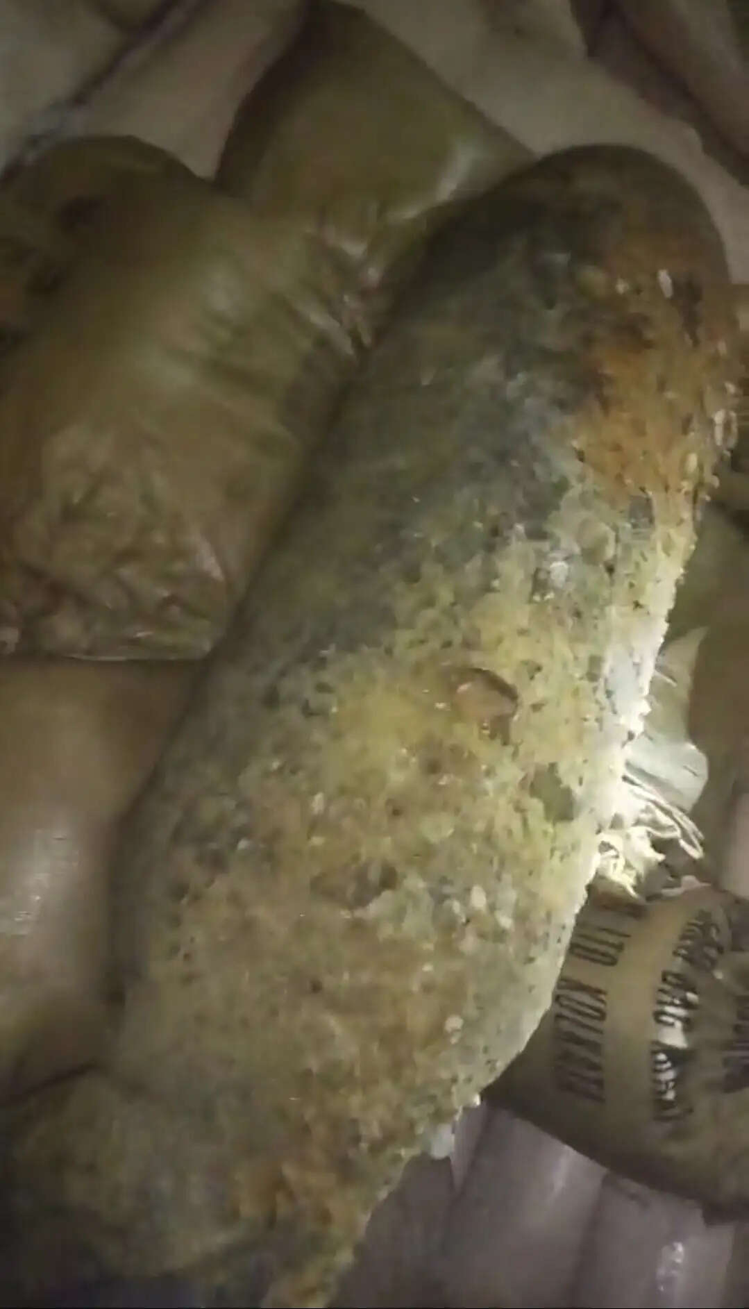 पूर्वी सिंहभूम में स्वर्णरेखा नदी के किनारे मिले सिलेंडर को सेना ने किया निष्क्रिय