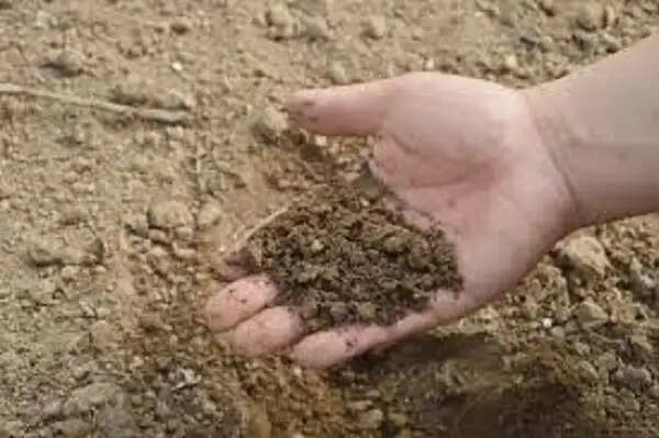 दतिया : 9 साल बाद भी शुरू नहीं हुआ मिट्टी परीक्षण केंद्र, भवन में पड़ने लगी दरारें