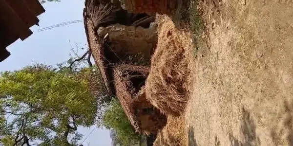 पाकिस्तान की जेल में भारतीय मछुआरे की मौत की खबर मिलते ही परिवार में पसरा मातम