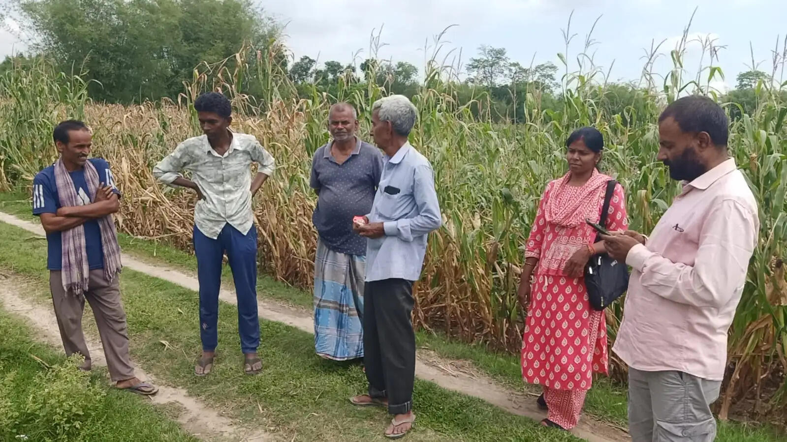 फसल क्षति अनुदान योजना को लेकर कृषि विभाग का भौतिक सत्यापन अभियान