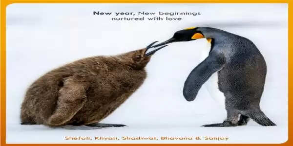 मप्र : ध्रुवीय क्षेत्रों के पक्षी’ ई-कैलेंडर का विमोचन