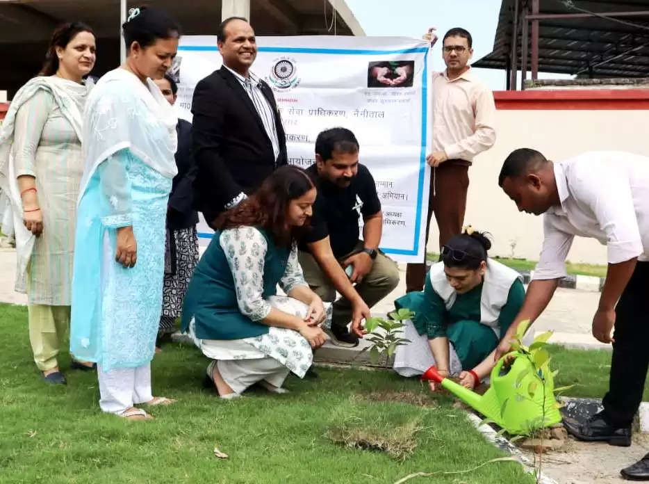 जुलाई माह पौधरोपण के लिए सबसे उपयुक्त समय, न्यायिक अधिकारी 30 तक लगाएंगे छायादार व फलदार पौधे