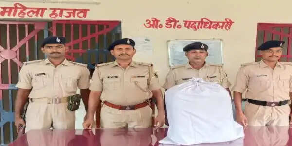 गन्ने के खेत में छिपाई गई थी गांजे की खेप, 21 किलो 450 ग्राम बरामद
