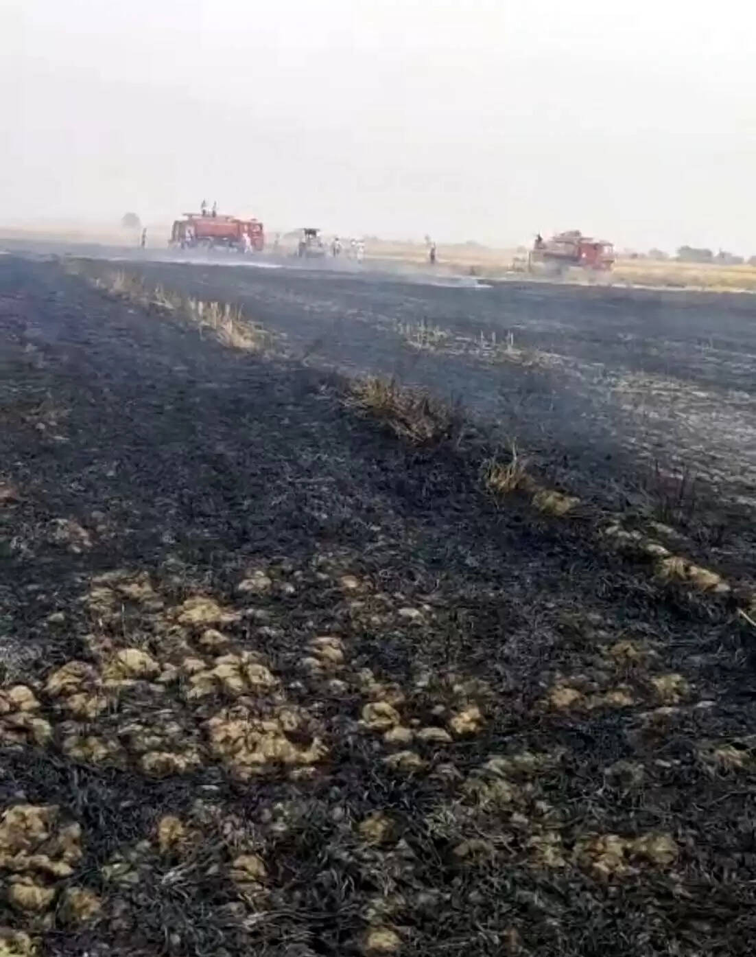 हिसार: खेतों में आग से तीन एकड़ गेहूं व 10 एकड़ फसल जली, मुआवजे की मांग