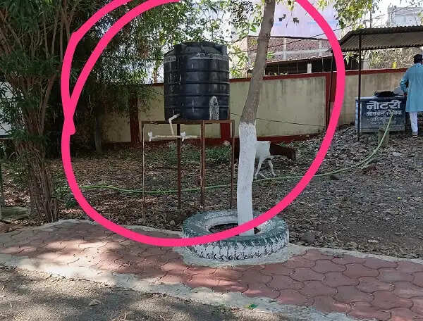 तहसील कार्यालय के चक्कर लगाने को मजबूर किसान, अव्यवस्थाओं से बढ़ी परेशानी