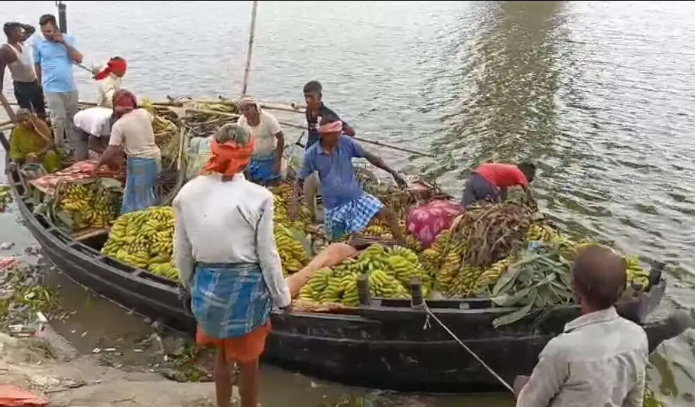 विक्रमशिला सेतु बंद होने का असर, फल, सब्जी और दूध के कारोबार पर संकट