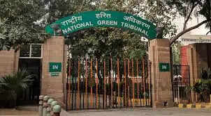 लू संकट पर एनजीटी ने लिया स्वतः संज्ञान, केंद्र, राज्यों से मांगी कार्ययोजना