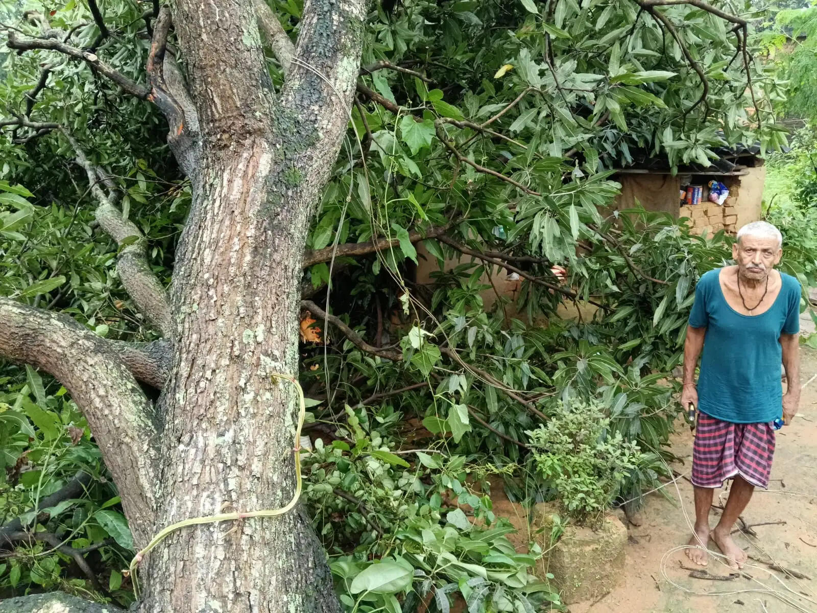 अनूपपुर: लगातार बारिश से दो मकान ढहे, परिवार सुरक्षित, मदद की गुहार