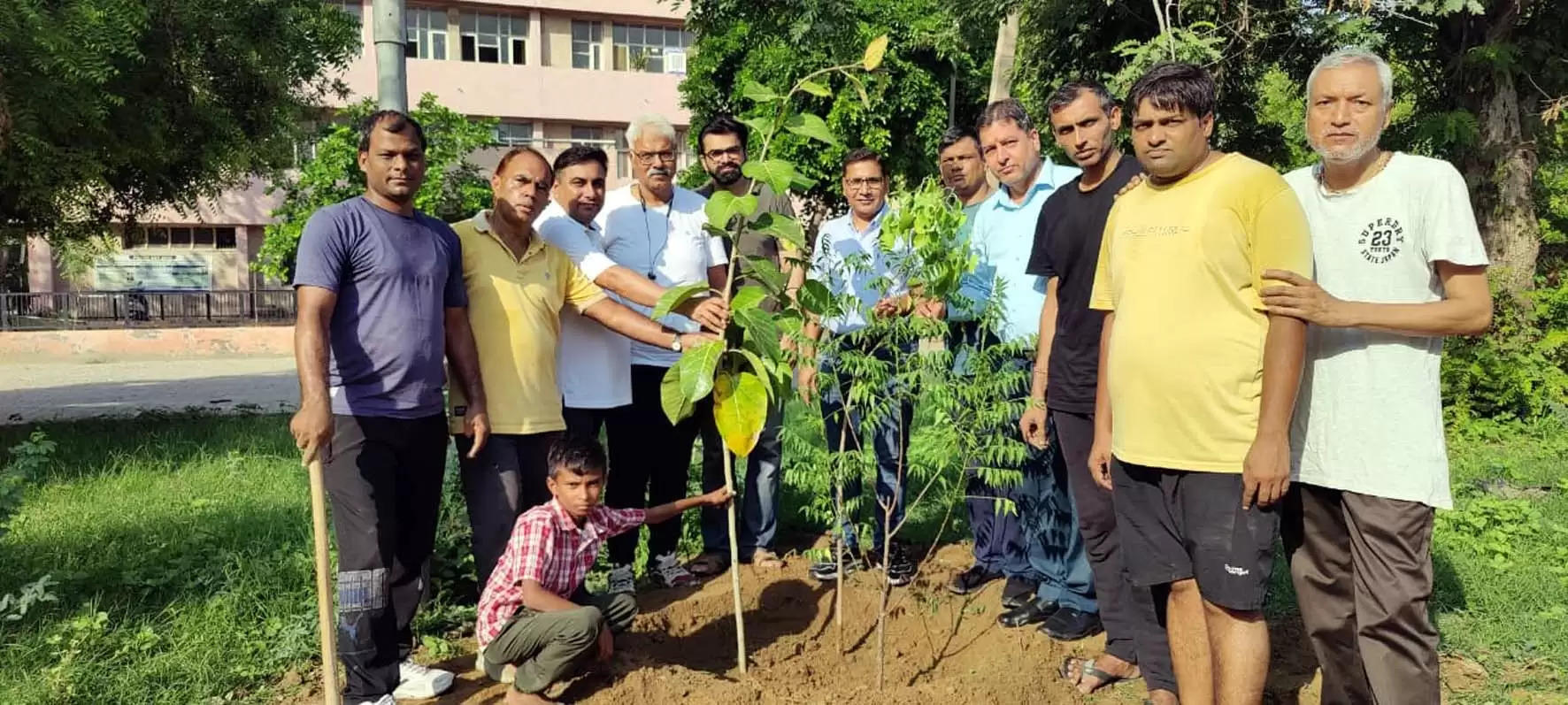 त्रिवेणी साधारण वृक्ष नहीं, इसका है अध्यात्मिक महत्व : विनय बिश्नोई