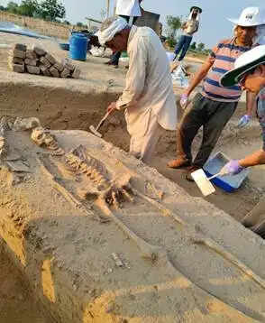 राखीगढ़ी के कंकालों से खुलेंगे हड़प्पा सभ्यता के राज