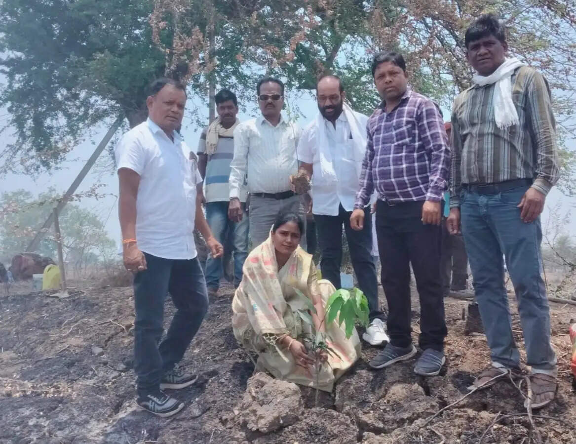 एक पेड़ माँ के नाम” अभियान के तहत लिमाही तालाब में हुआ पौधरोपण, हरित धमतरी का लिया संकल्प