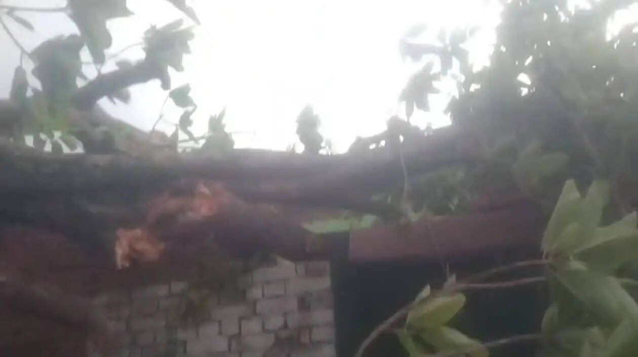 मीरजापुर में आंधी-तूफान का कहर, चार लोगों की मौत से मचा हड़कम्प