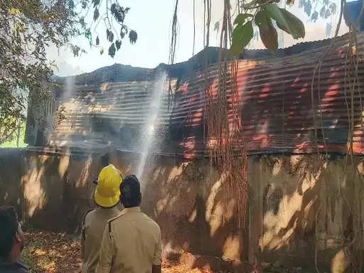 जांजगीर: जयपुरी सोफा रिपेयरिंग और रजाई दुकान में लगी भीषण आग, 20 हजार कैस समेत लाखों का समान जलकर खाक