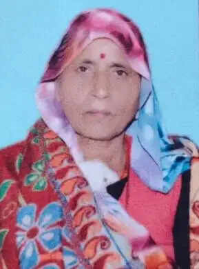 विद्युत विभाग की लापरवाही से चलती बाइक पर गिरी पेड़ की डाल, महिला की मौत व युवक घायल
