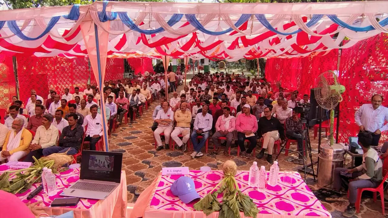 गन्ने के साथ चुकंदर की सह फसली खेती करके किसान बढ़ा सकते हैं अपनी आय : निदेशक