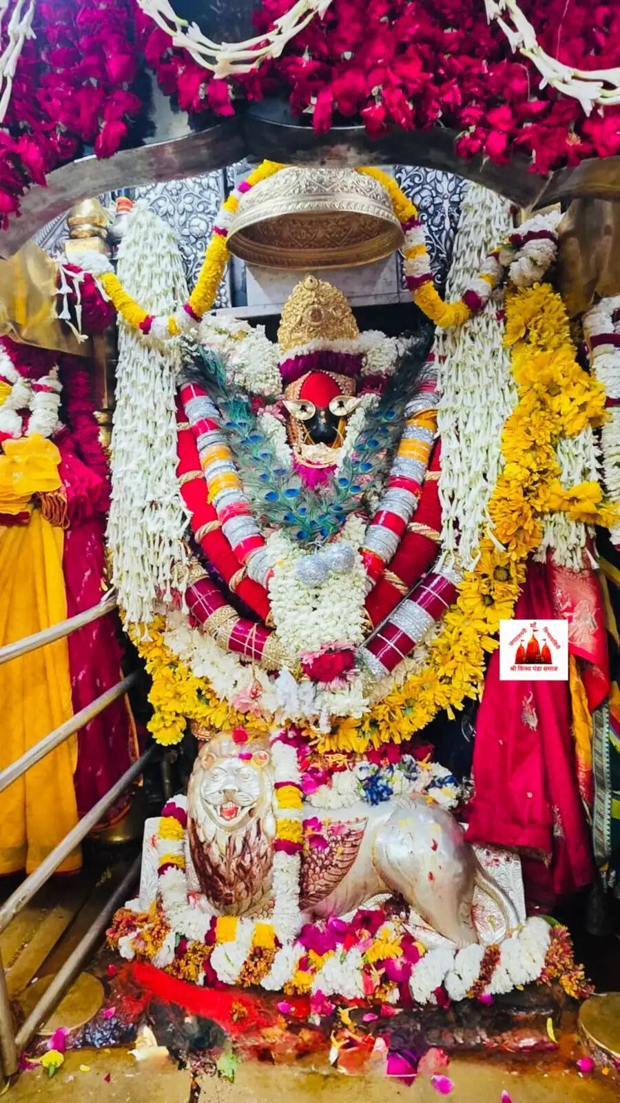 विंध्यधाम में आस्था का महासंगम, हर ओर ‘जय मां’ की गूंज