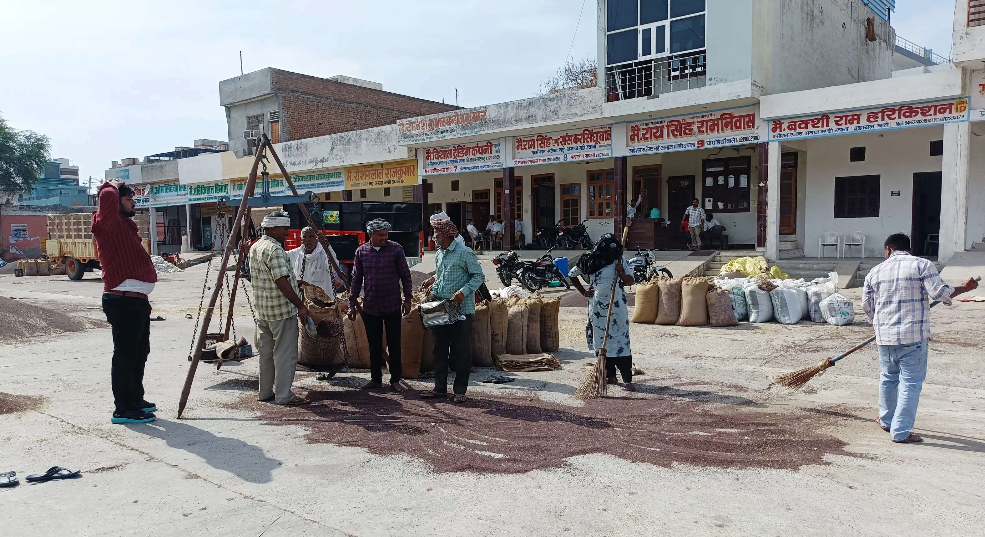 जींद : सरसों के एमएसपी से अधिक मिल रहे किसानों को भाव