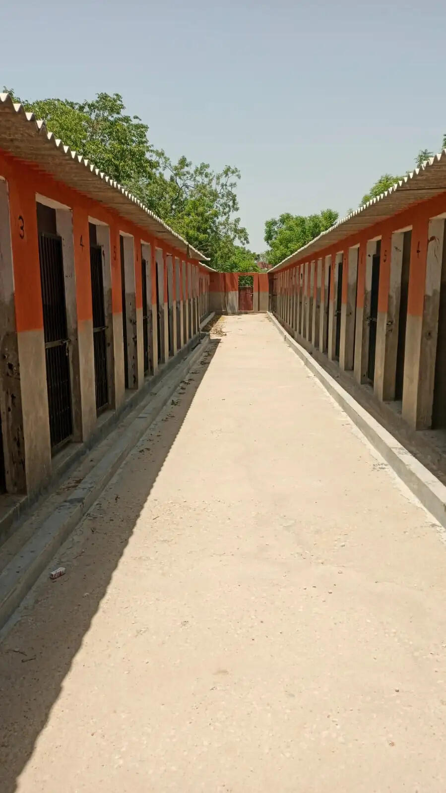 जयपुर में खूंखार और रेबीज संक्रमित कुत्तों के लिए बनेंगे दो नए शेल्टर होम