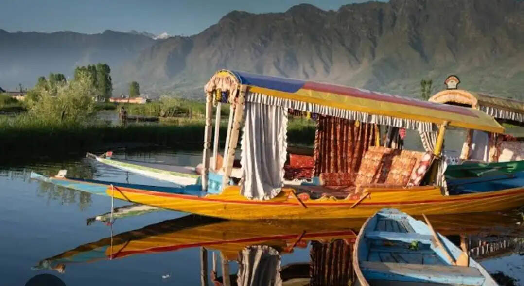 पौंग डैम में पर्यटन को मिलेगी नई उड़ान, श्रीनगर की तर्ज पर चलेगी शिकारा-हाउस बोट