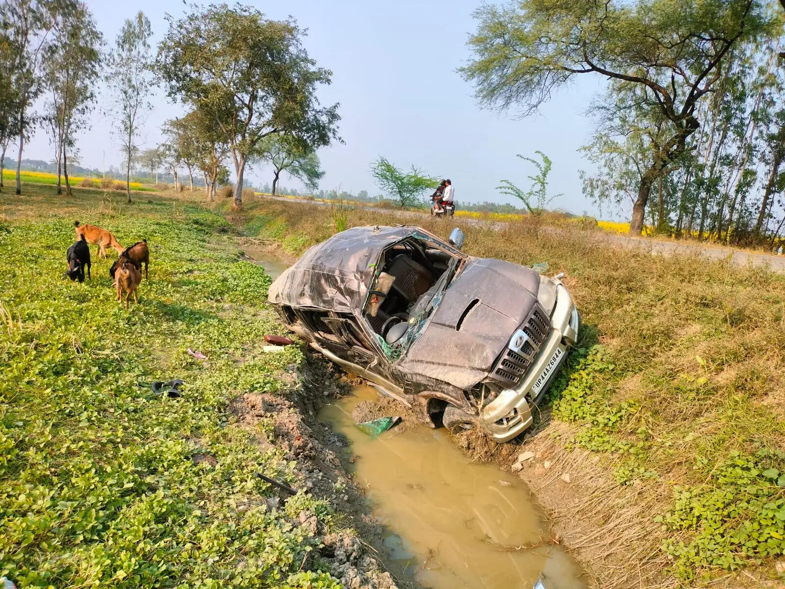 लड़की की विदाई कराने जा रही स्कॉर्पियो पलटी : चालक की मौत, छह घायल