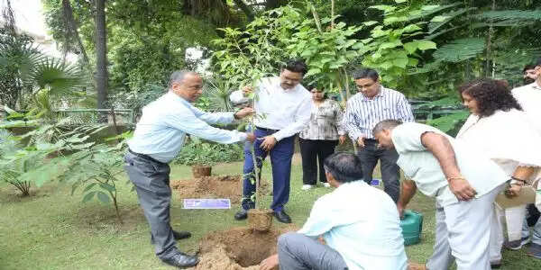 डीयू कुलपति ने पहले कार्बन गार्डन का किया उद्घाटन, लगाया कल्पवृक्ष का पौधा