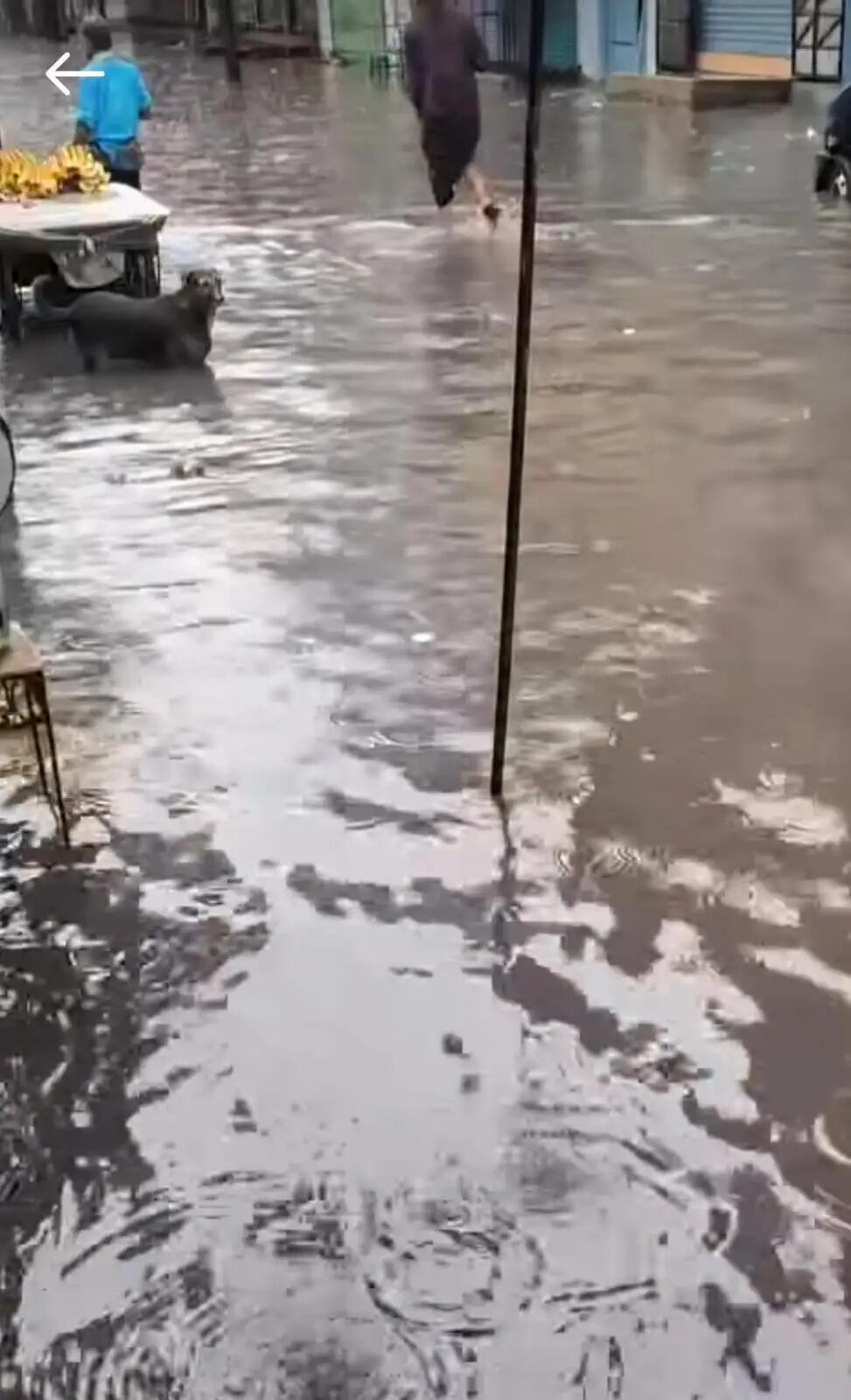 मुरादाबाद में दिन भर हुई झमाझम बारिश, पानी से लबालब हुआ शहर