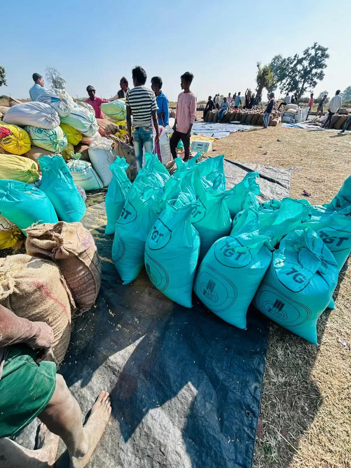 कोरिया: जिले में 120 बोरी अवैध धान जब्त, कई किसानों का अमानक धान रिजेक्ट