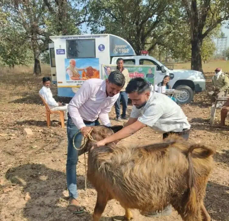 एक कॉल पर घर पहुंच रही पशु चिकित्सा सेवा, ग्रामीण पशुपालकों के लिए वरदान बनी मोबाइल यूनिट