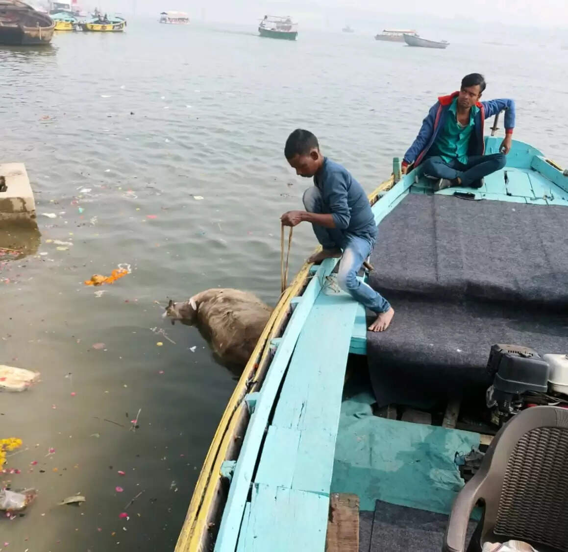 वाराणसी: बूंदी परकोटा से गोलाघाट तक हटाए गए गंगा किनारे पड़े मृत जानवर
