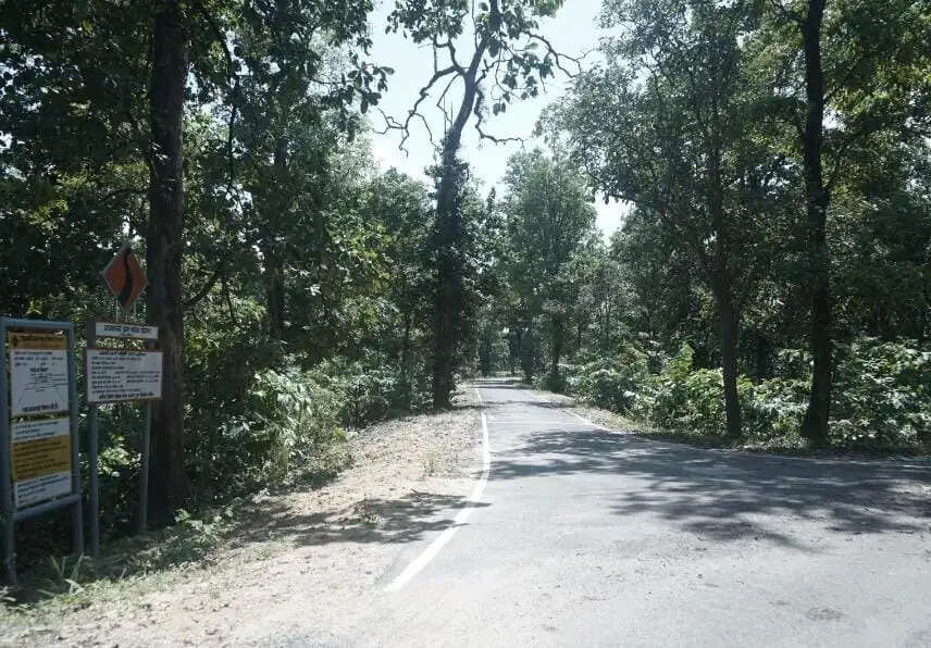 कोरबा: पीएम-जनमन से नरबदा के दलदली पारा तक पहुंची पक्की सड़क, ग्रामीणों को मिली बड़ी राहत