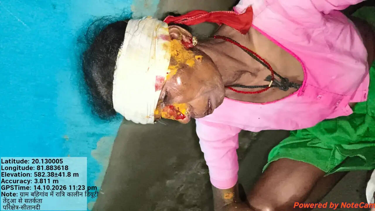 बैल का शिकार करने गांव पहुंचा तेंदुआ, हमले में मेहमान और पड़ोसी सहित तीन घायल