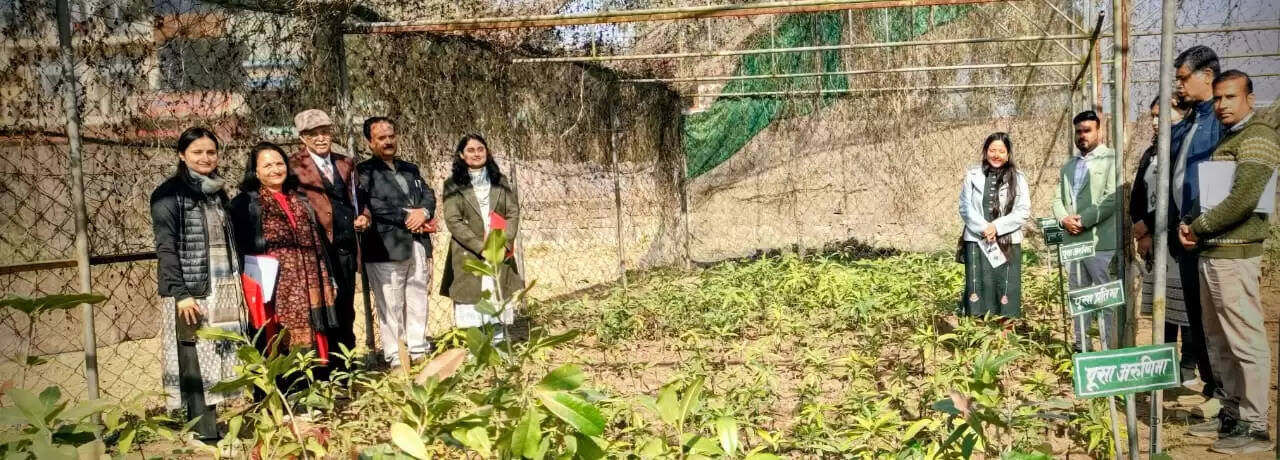 एनएचबी टीम ने धौलाकुआं केंद्र की नर्सरी का किया निरीक्षण