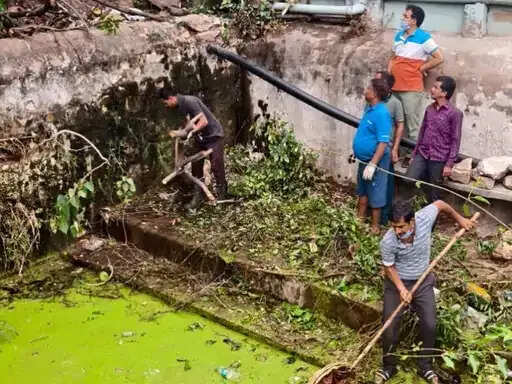 नाथद्वारा में बावड़ियों को प्लास्टिक मुक्त बनाने की पहल