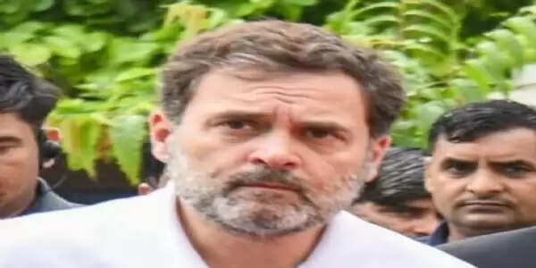 राहुल गांधी ने अमेरिका यात्रा को संक्षिप्त किया, कल सीडब्ल्यूसी की बैठक में होंगे शामिल