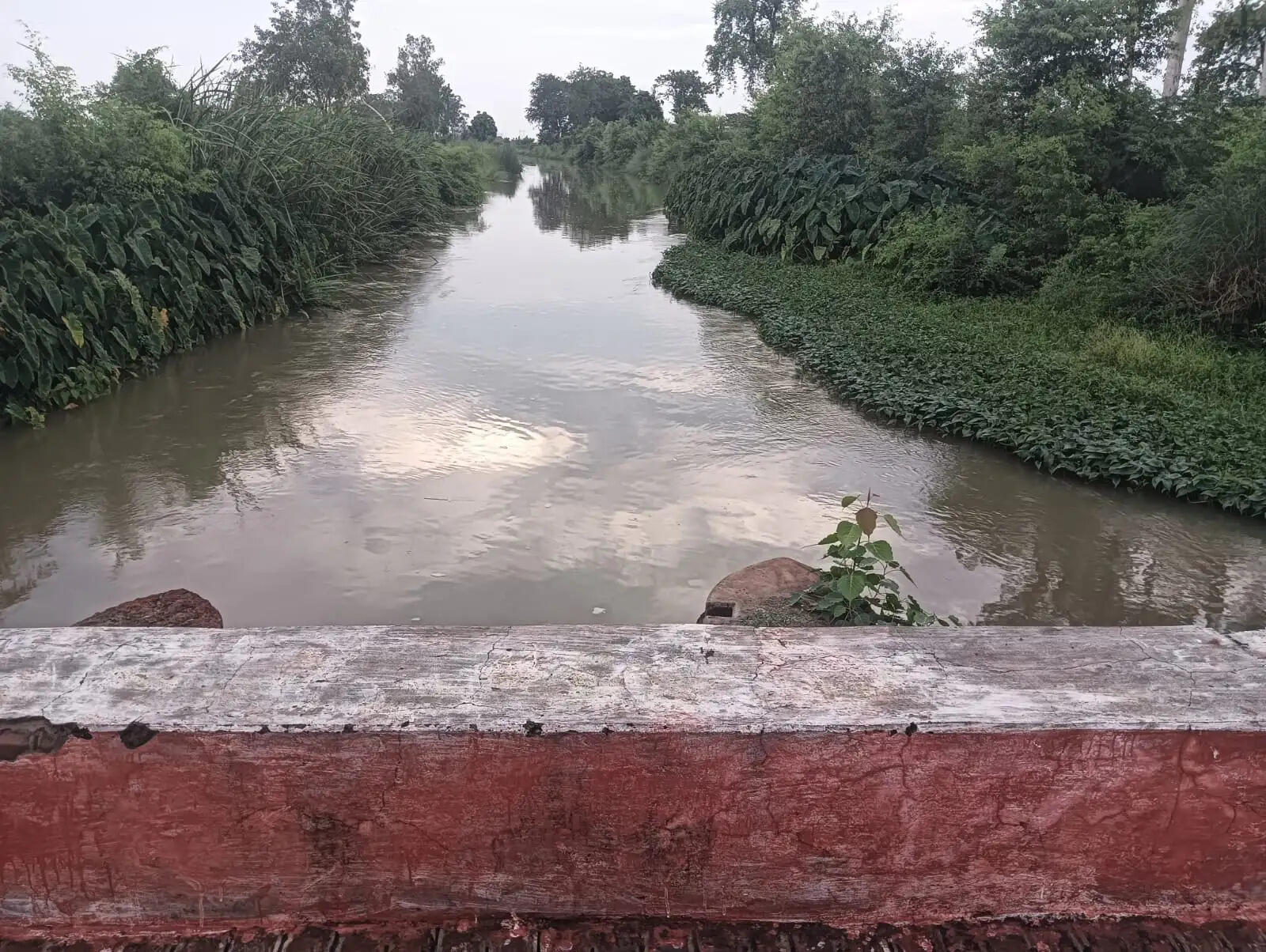 फतेहपुर में 15-15 दिन की रोस्टिंग से सूखी नहरें, धान रोपाई के लिए तरसे किसान