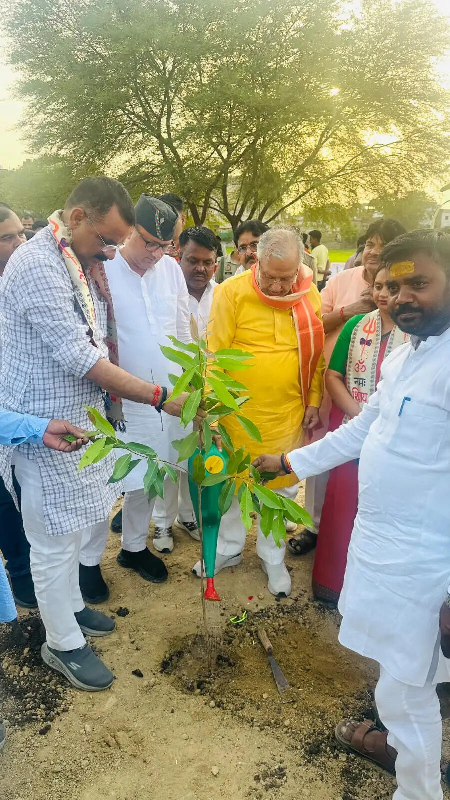 वाराणसी के सारंगतालाब में विकसित होगा शहर का तीसरा मियावाकी वन