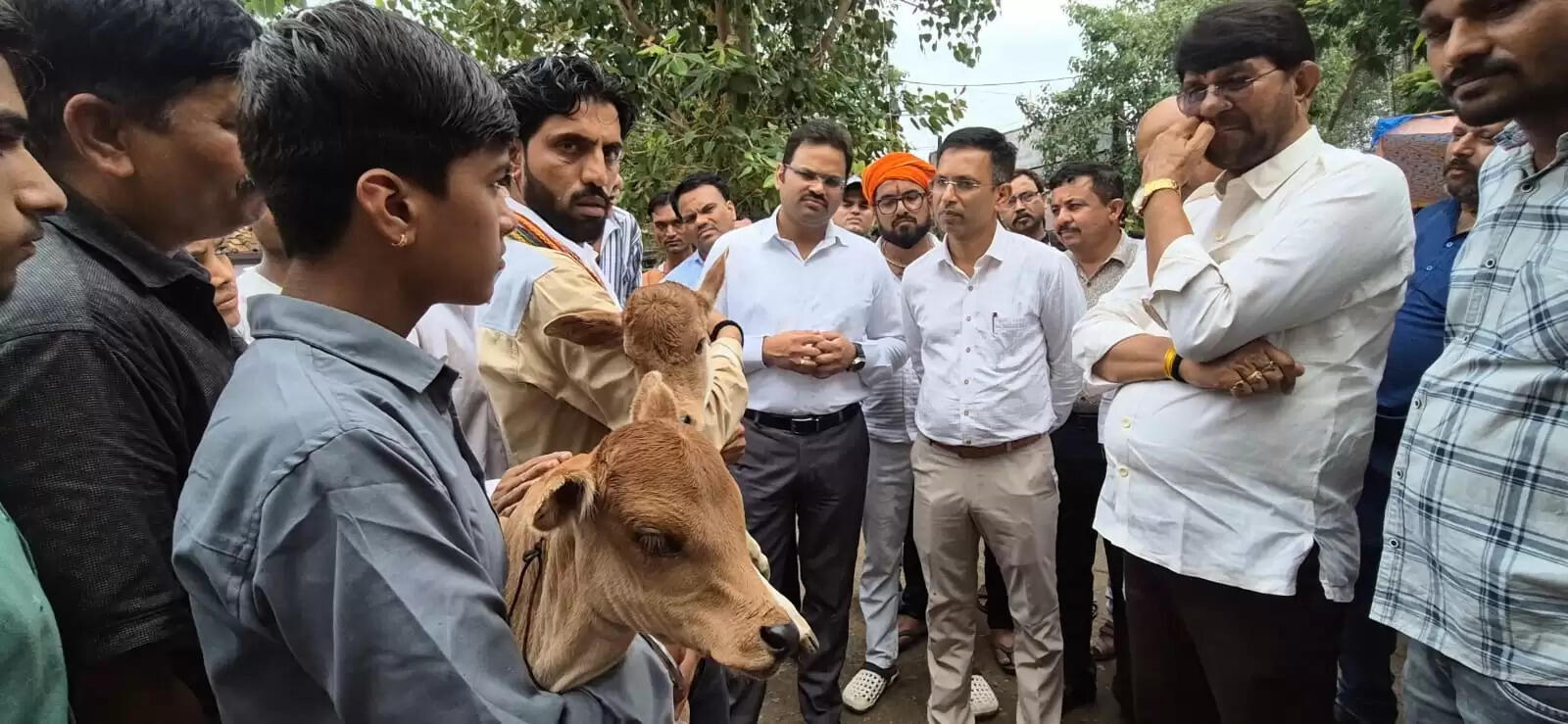 दमोहःनिराश्रित गौ वंश की सेवा और घायलों की शल्य चिकित्सा