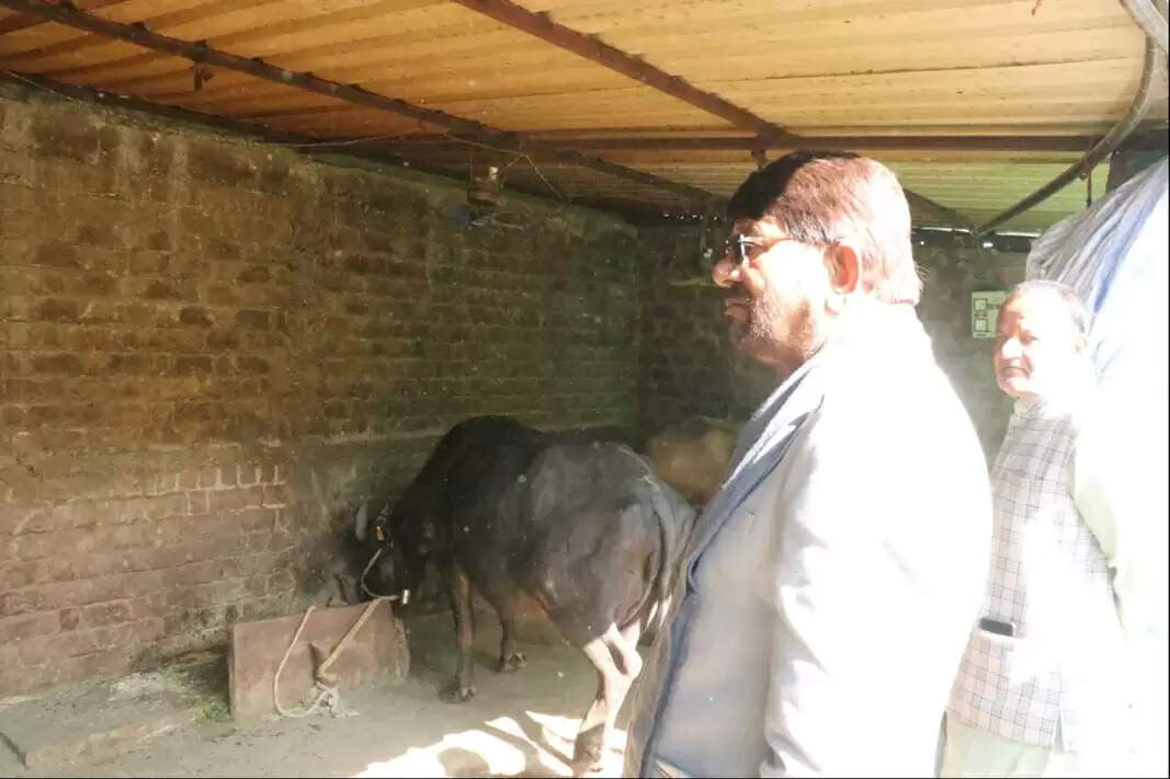 किसान दुग्ध उत्पादन को व्यवसाय की तरह संचालित करें: मंत्री पटेल