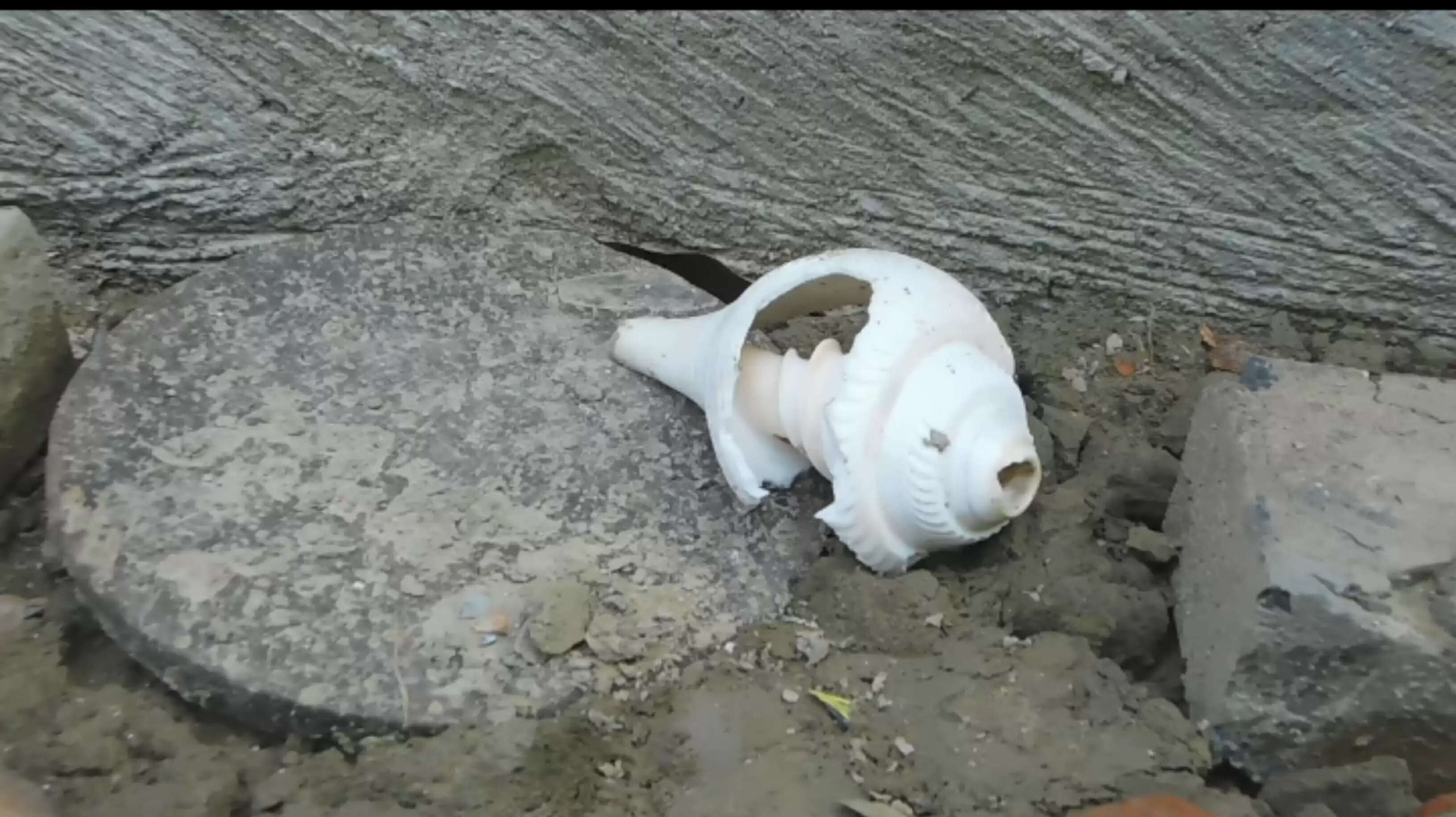 मुर्शिदाबाद डायरी-वे हमारे पड़ोसी थे, बहुत अच्छे संबंध थे लेकिन सब लूट ले गए