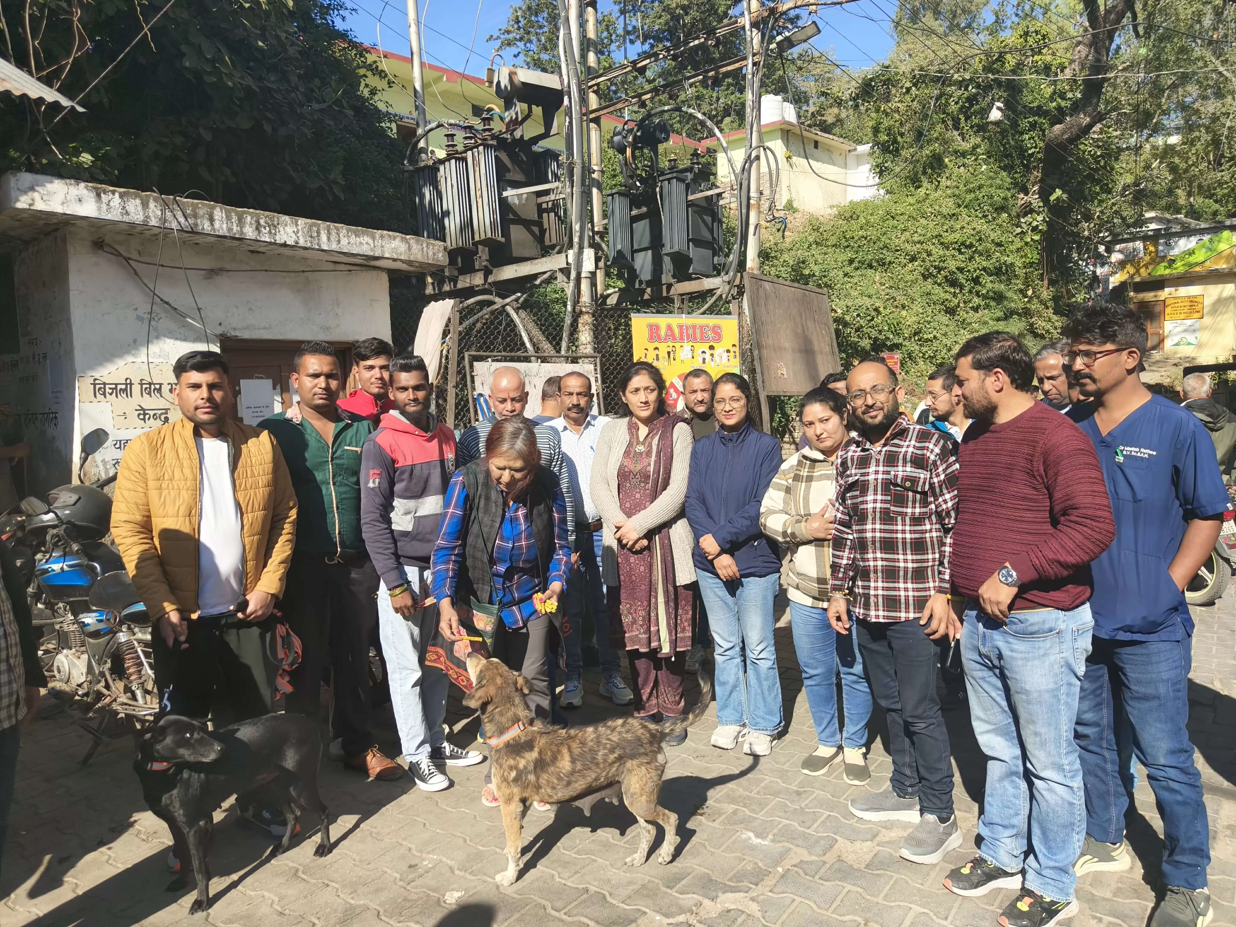 सिरमौर में आवारा कुत्तों का सामूहिक टीकाकरण आरम्भ