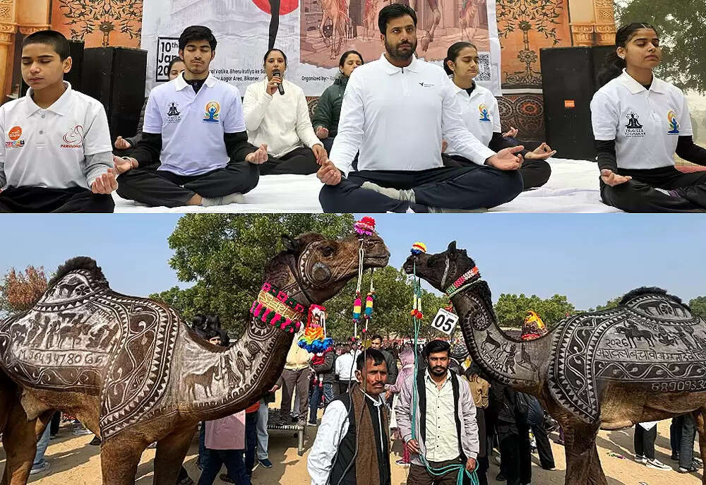 योग कार्यक्रम के साथ ऊंट उत्सव की शुरुआत, ऊंट दाैड़ प्रतियाेगिताएं