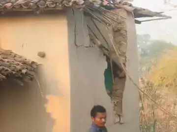 कोरबा : हाथियों का आतंक, चार घरों को तोड़ा, धान भी खाया