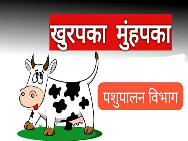 दुग्ध उत्पादन बढ़ाने के लिए टीकाकरण से पशुओं को रोगमुक्त बनाएगी धामी सरकार