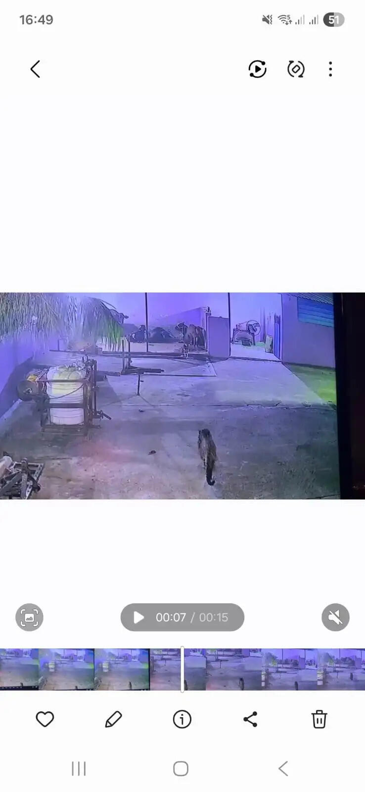 कलियर के धनौरा गांव में घर के अंदर घुसा गुलदार, कुत्ते पर किया हमला